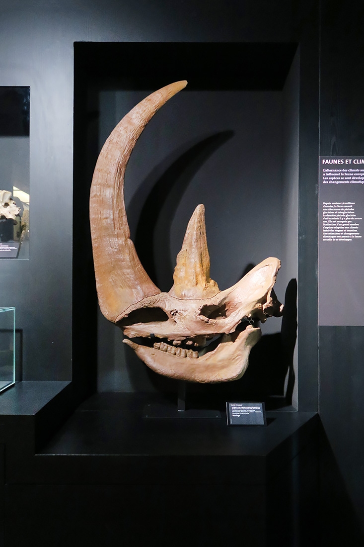 mobe orleans 8-2025 2639