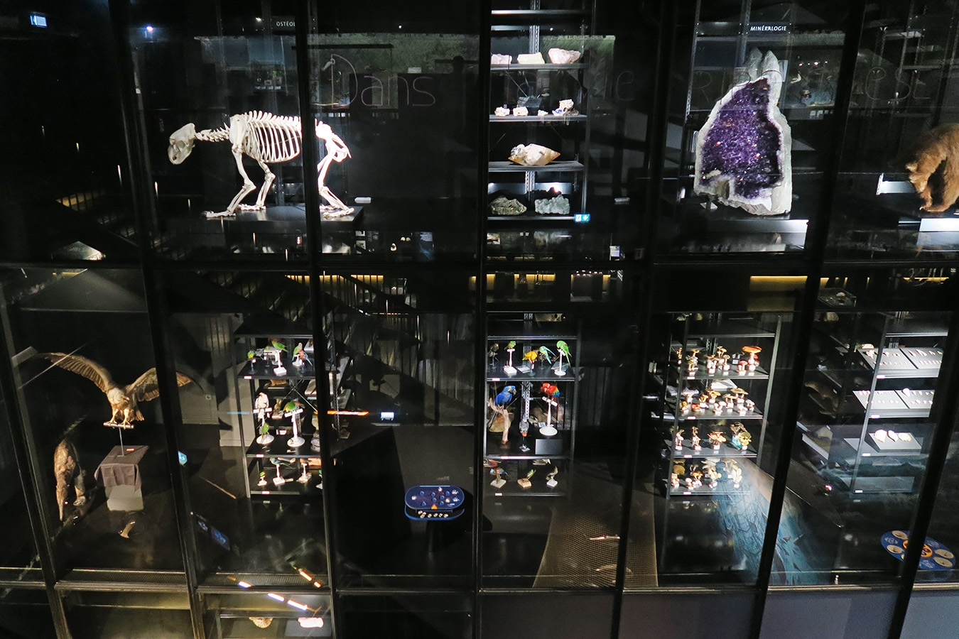 mobe orleans 8-2025 2645