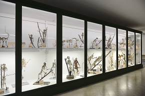 museo di anatomia comparata bologna 8-2022 4648