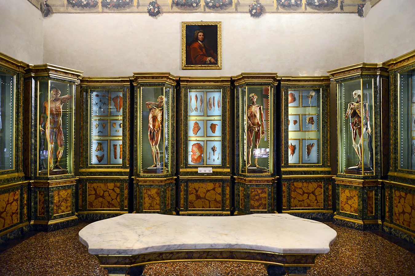 museo di anatomia umana bologna 8-2022 4735