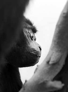 museo di zoologica bologna 8-2022 4500-