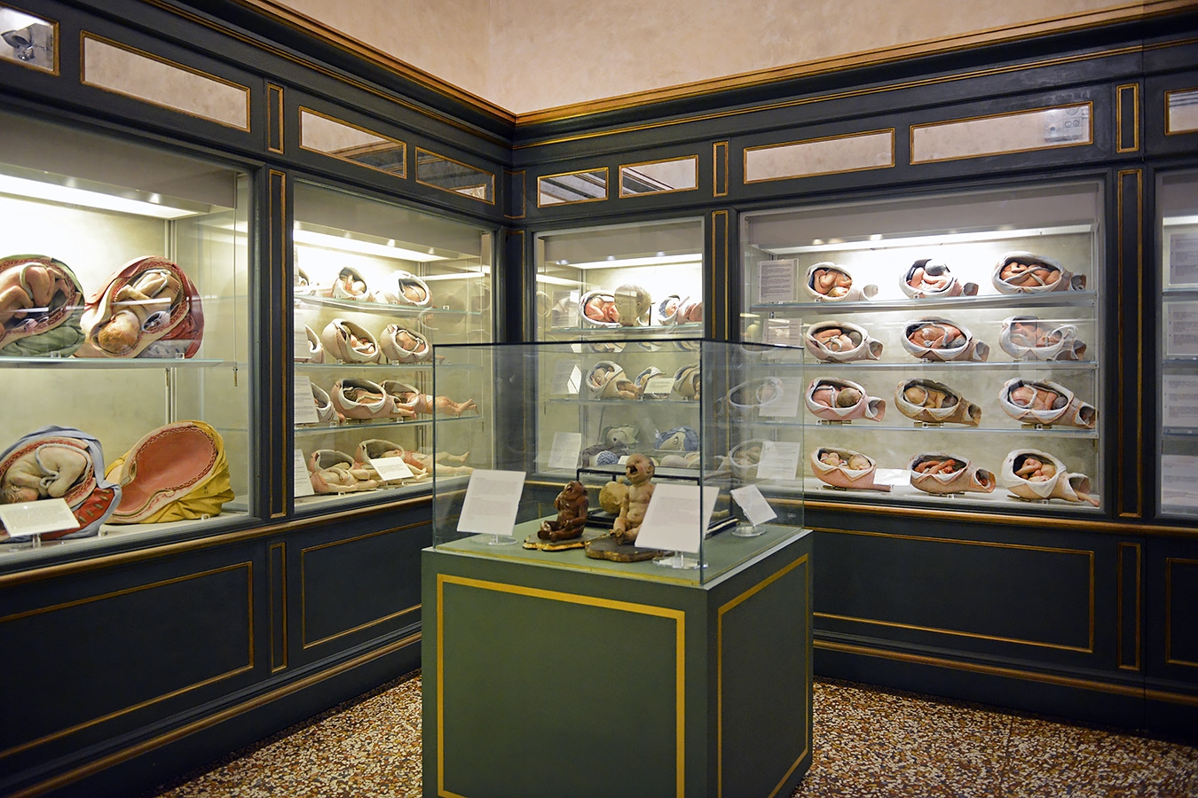 museo ostetrico giovan antonio galli bologna 8-2022 4724