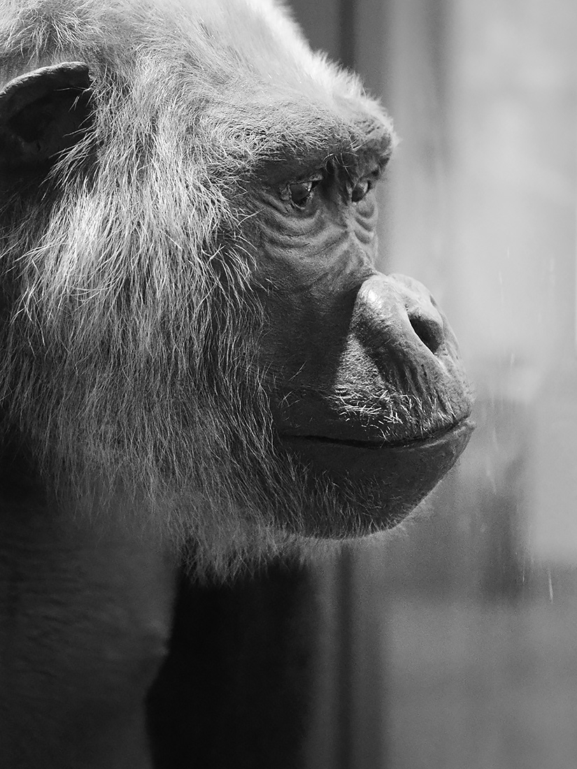 museum aquarium de nancy 8-20223 3845-