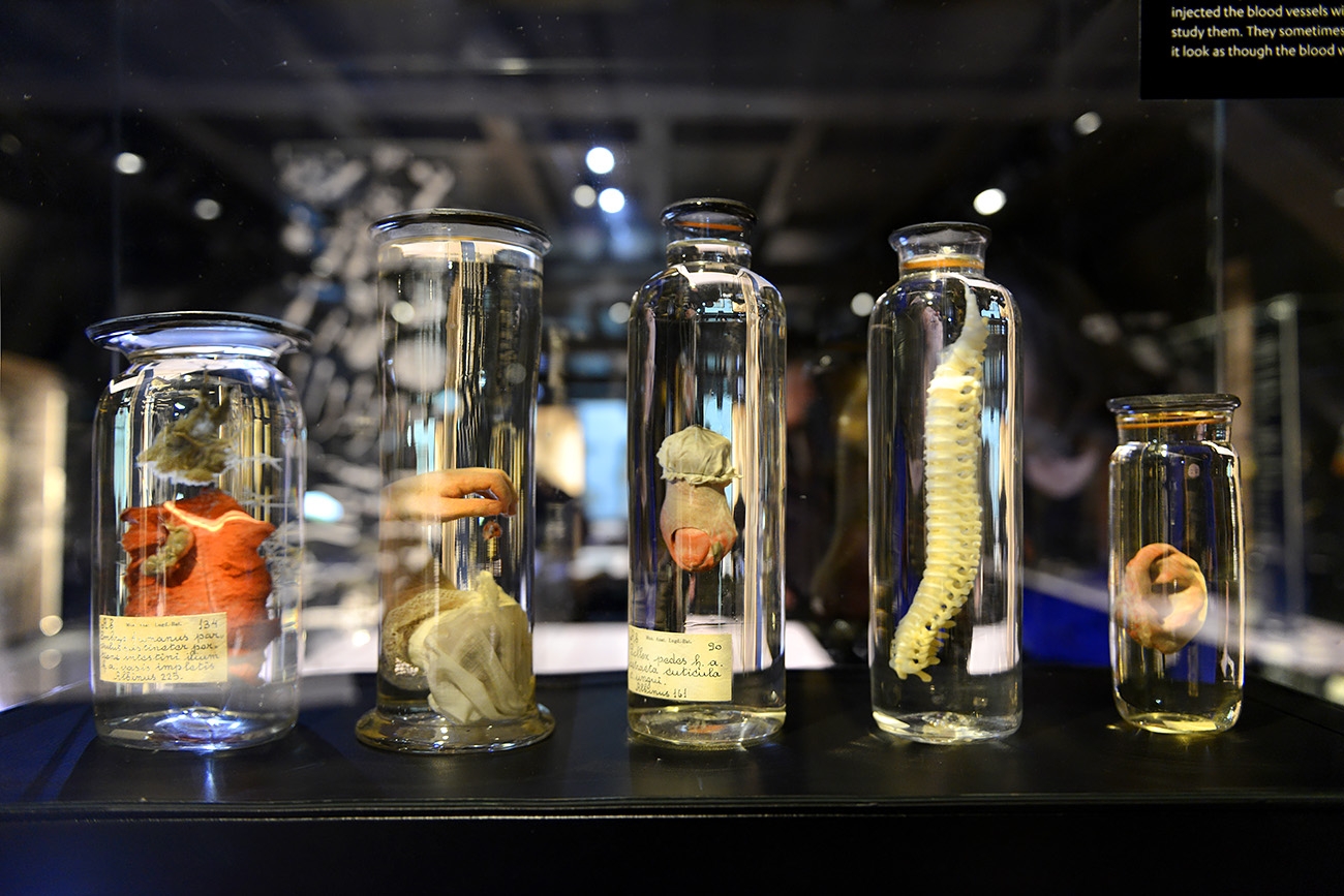 museum boerhaave 3-2022 1157