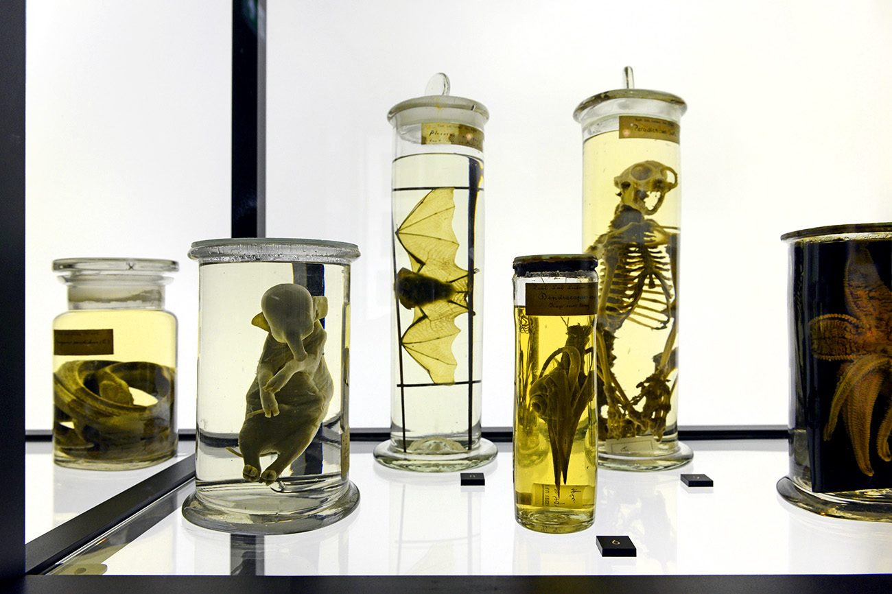 museum boerhaave 3-2022 1218