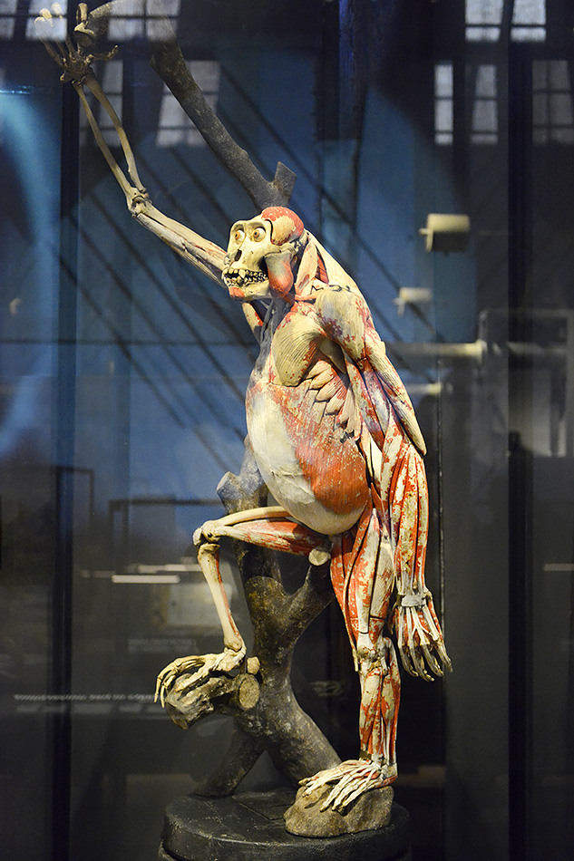 museum boerhaave 3-2022 1247