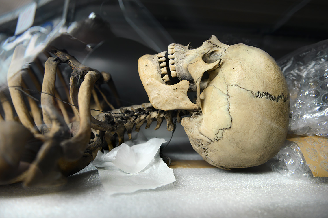 museum de histoire naturelle rouen 10-2021 0207-