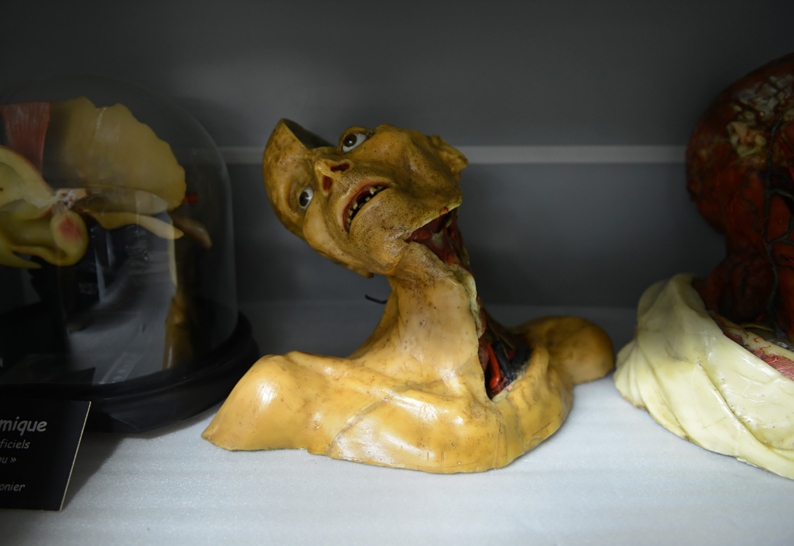 museum de histoire naturelle rouen 10-2021 0229