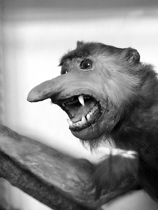 museum de histoire naturelle rouen 8-2021 9487