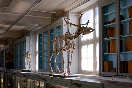 museum de histoire naturelle rouen 8-2021 9583-2