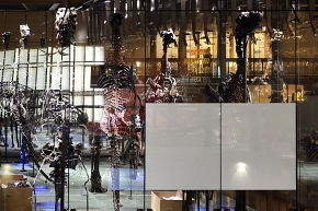 museum voor natuurwetenschappen brussel 11-2022 5534