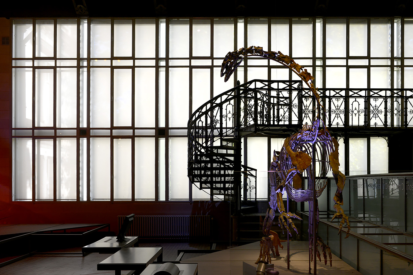 museum voor natuurwetenschappen brussel 11-2022 5545