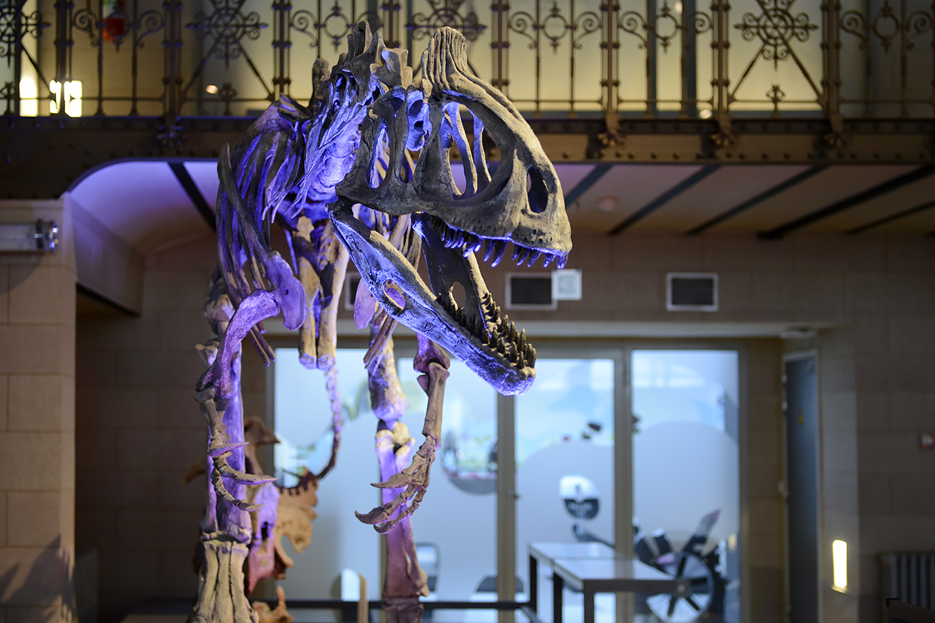 museum voor natuurwetenschappen brussel 11-2022 5563