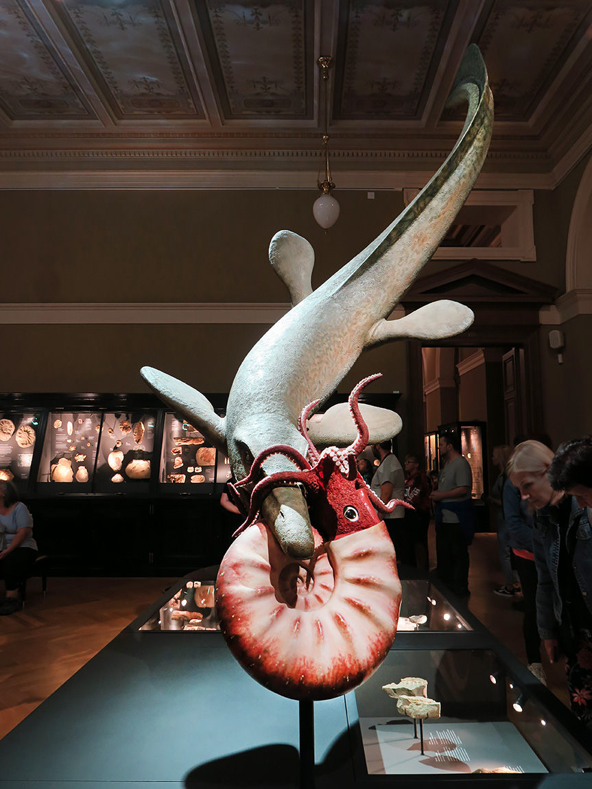 narodni muzeum praag 7-2023 8975