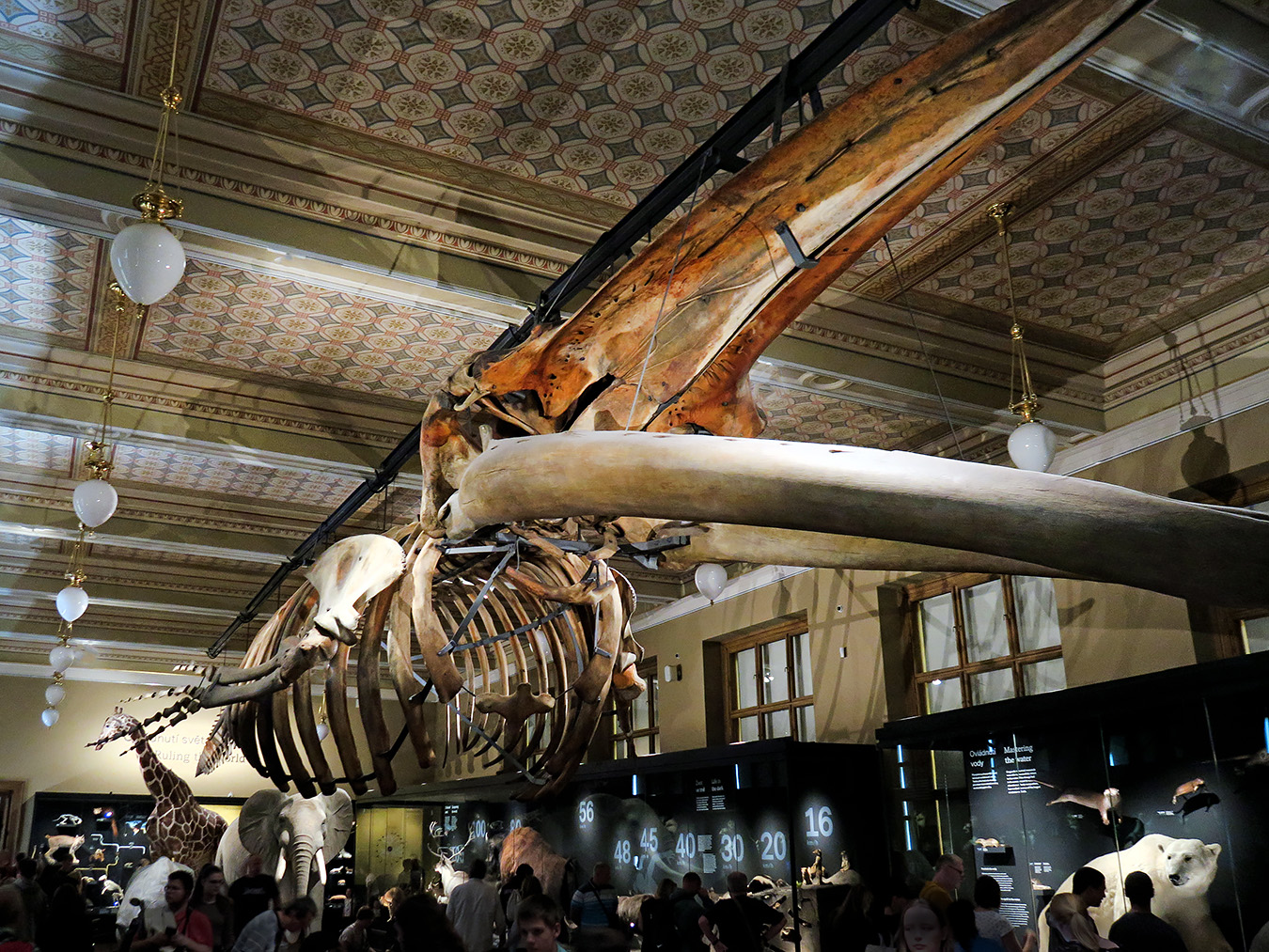 narodni muzeum praag 7-2023 9004