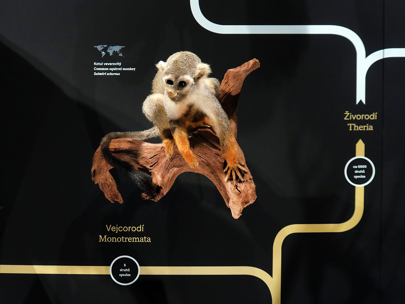 narodni muzeum praag 7-2023 9059