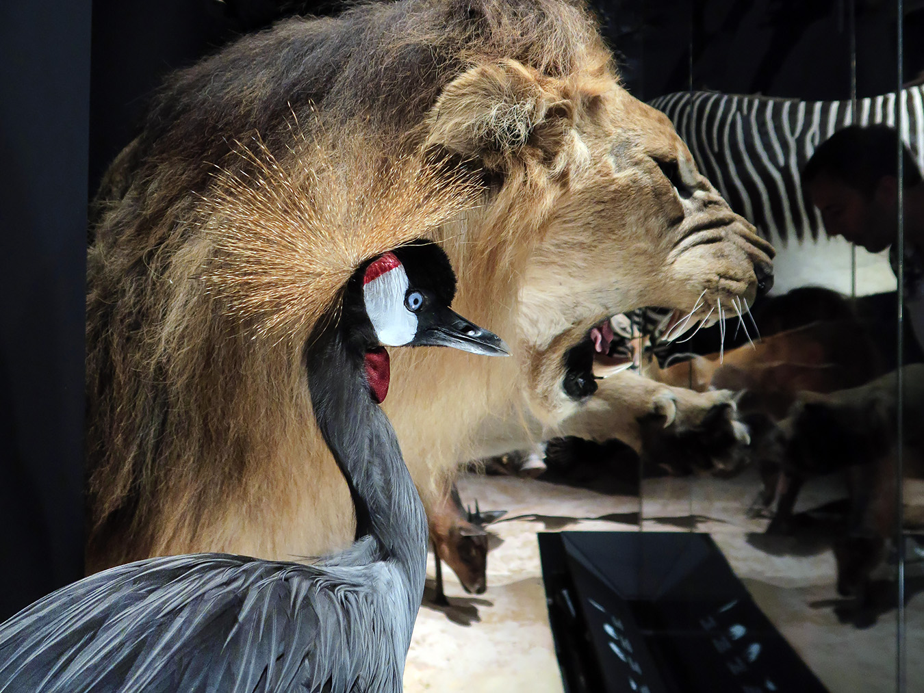 narodni muzeum praag 7-2023 9062