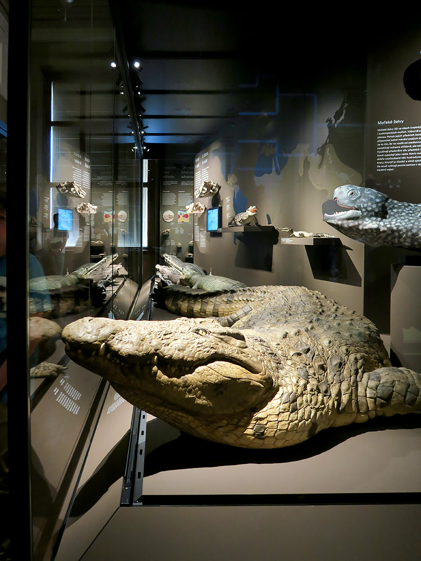 narodni muzeum praag 7-2023 9074