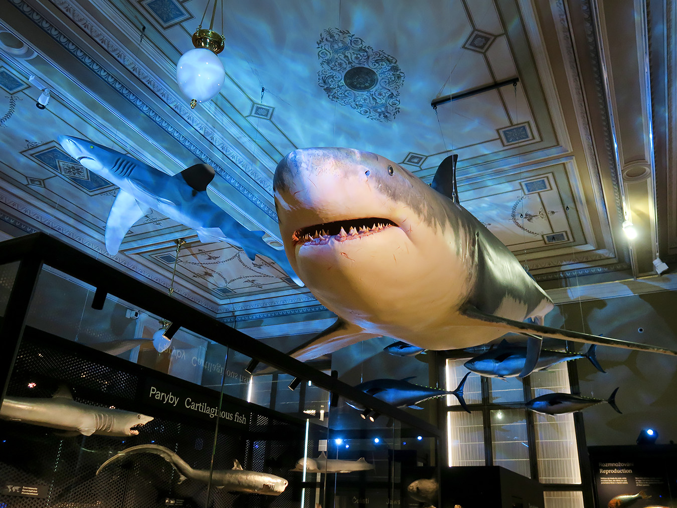 narodni muzeum praag 7-2023 9077