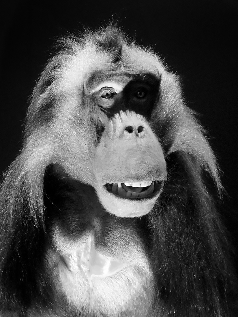 narodni praag 7-2023 9024