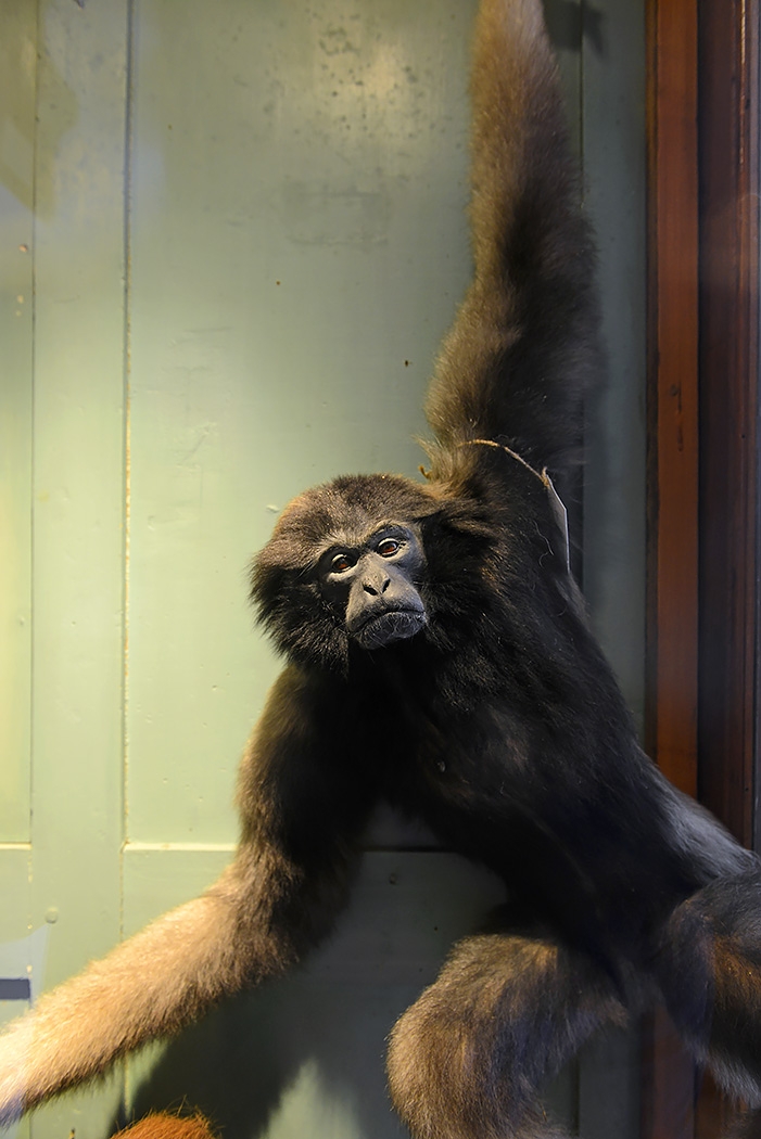 natura docet denekamp 4-2022 2229