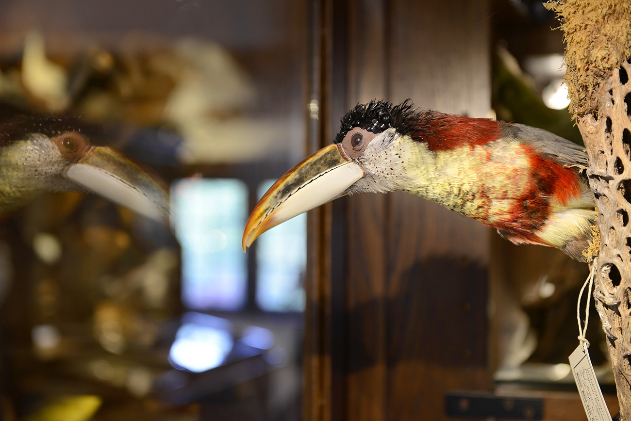 natura docet denekamp 4-2022 2295