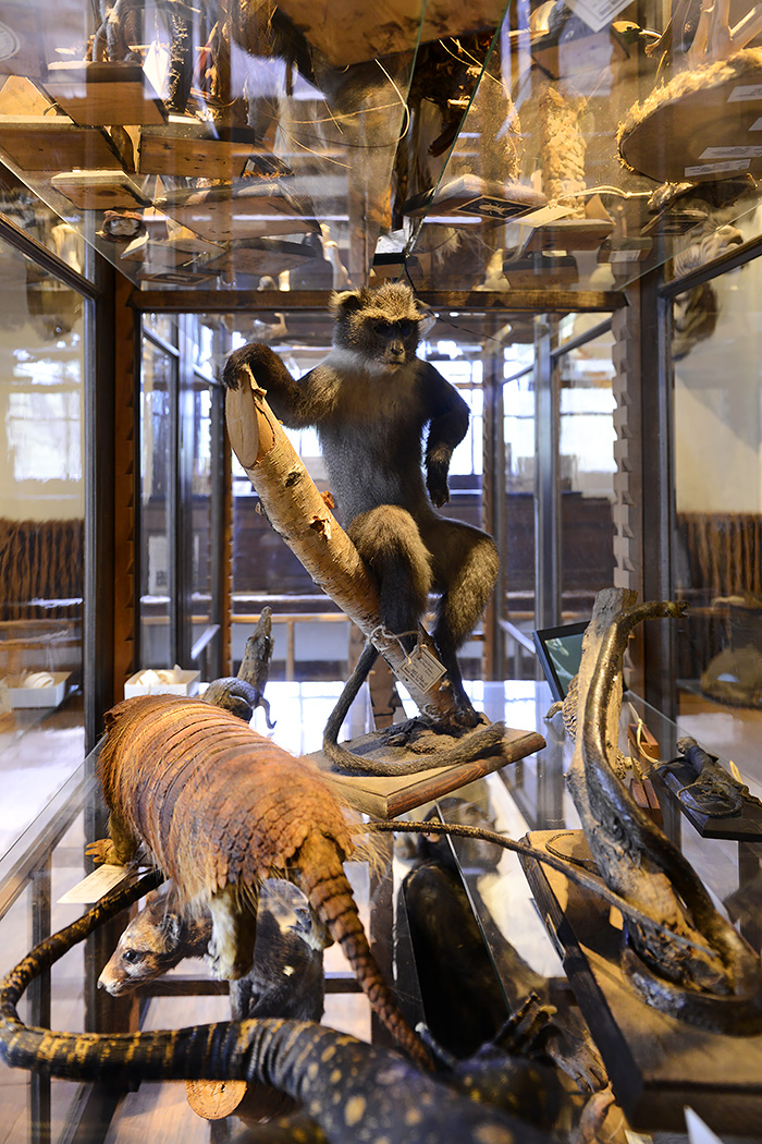 natura docet denekamp 4-2022 2344