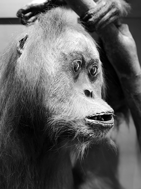 natura docet denekamp 5-2022 2232