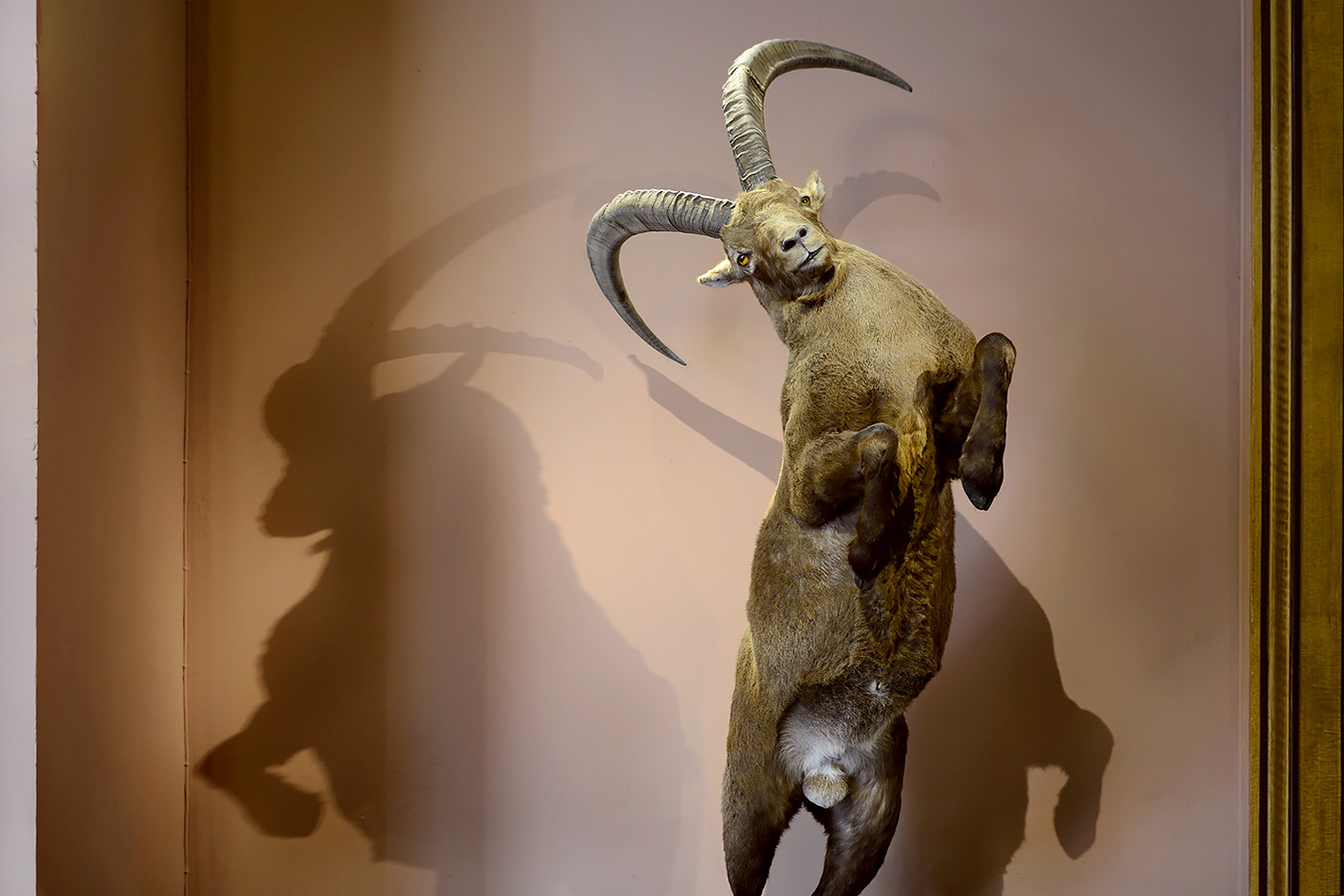 naturhistorisches museum basel 8-2022 4854