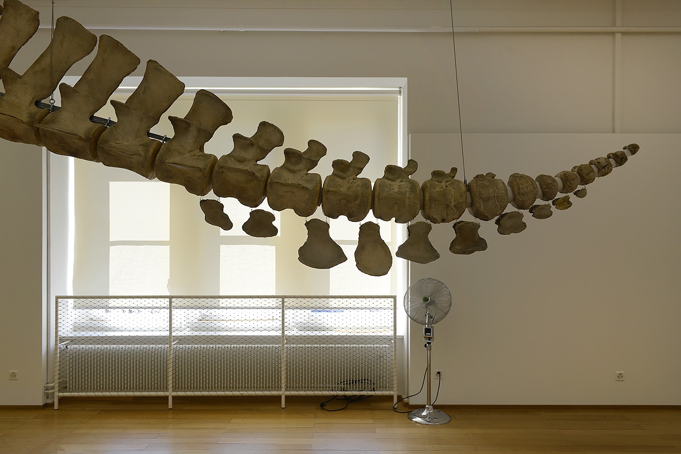 naturhistorisches museum basel 8-2022 4942