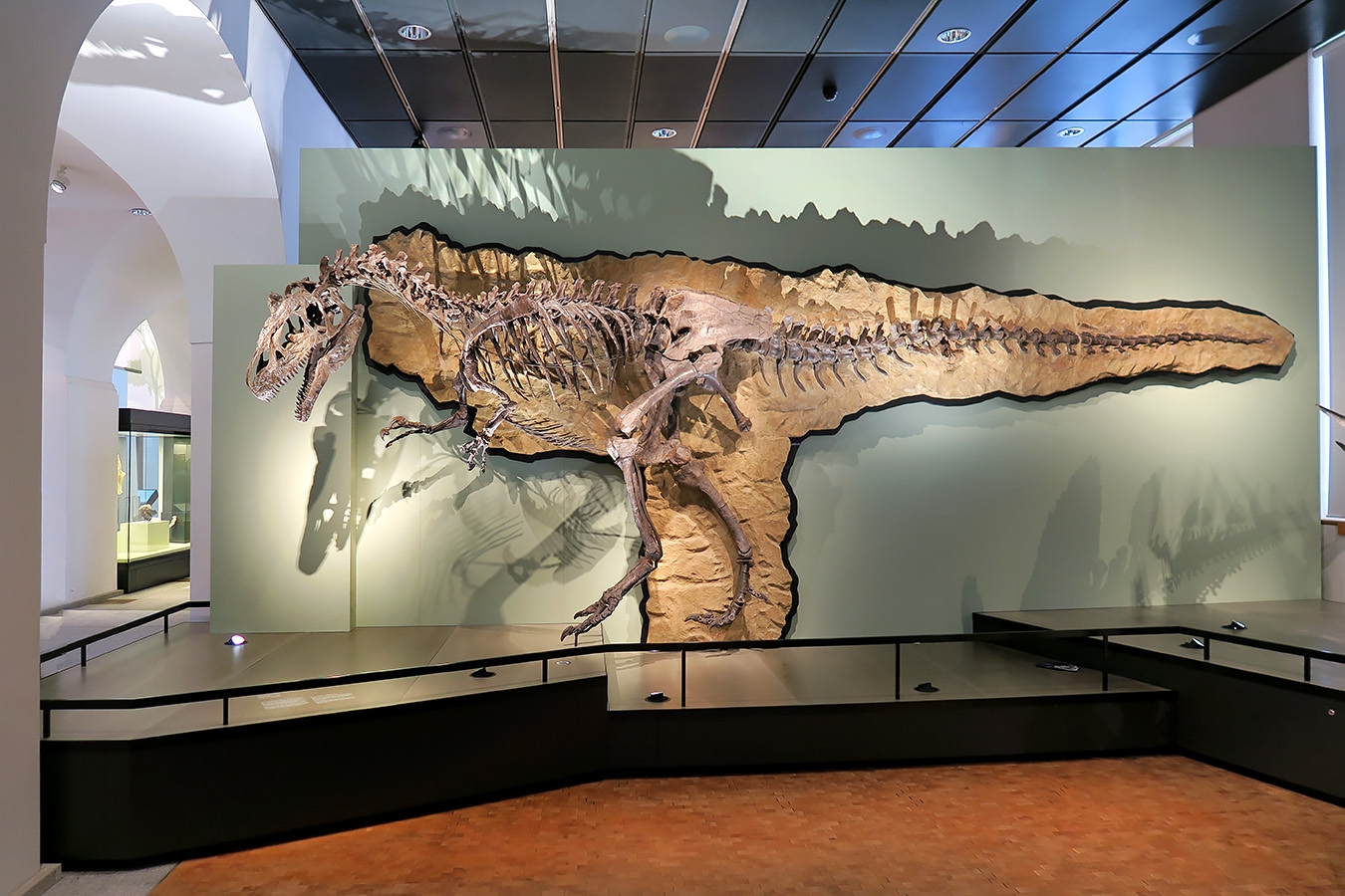 naturhistorisches museum der universitat zurich 8-2024 0907