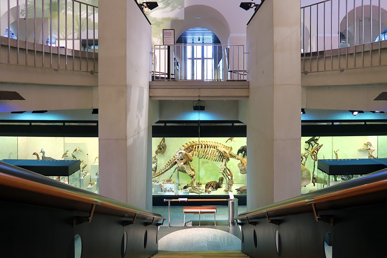 naturhistorisches museum der universitat zurich 8-2024 0927