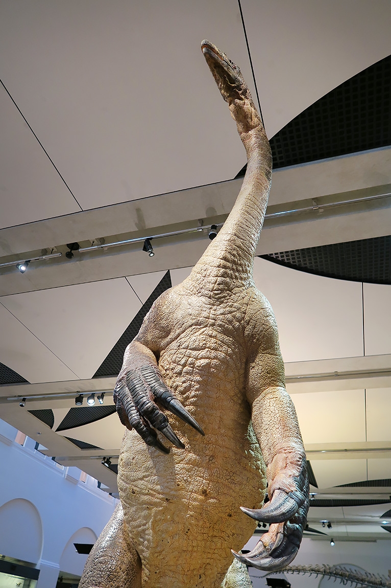 naturhistorisches museum der universitat zurich 8-2024 1028