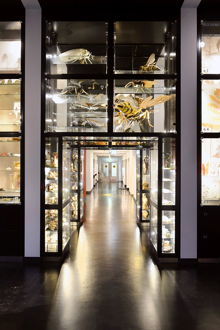 natuurmuseum brabant tilburg 1-2023 6053