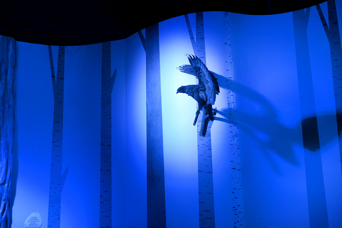 natuurmuseum brabant tilburg 1-2023 6124