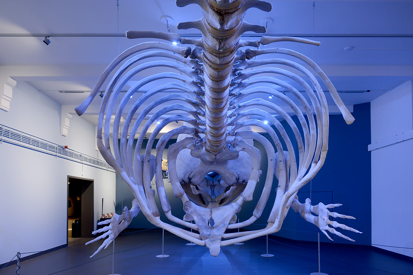 natuurmuseum brabant tilburg 1-2023 6153