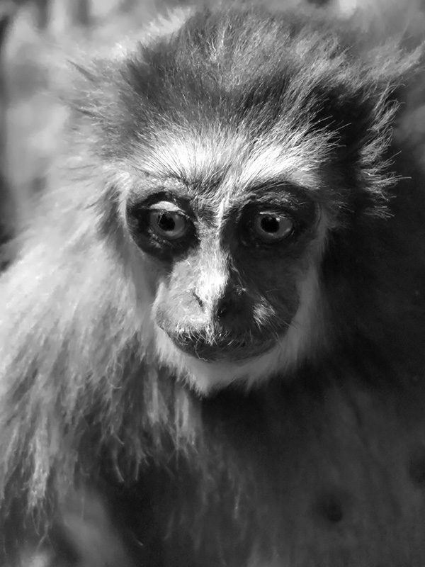 nhm oslo 7-2018 6491