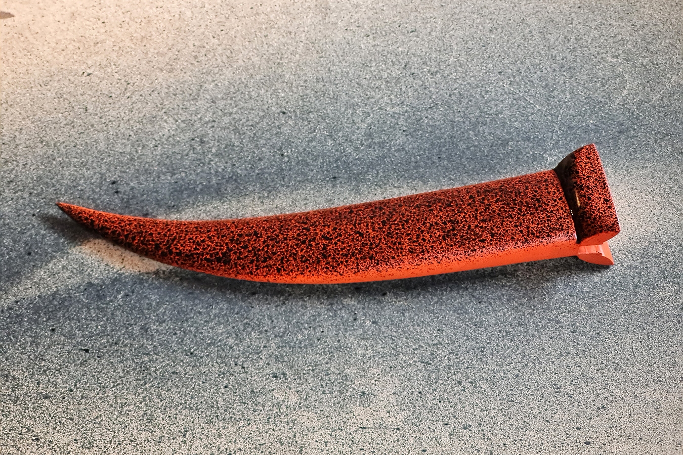 schede aculeus 6-2024 124355