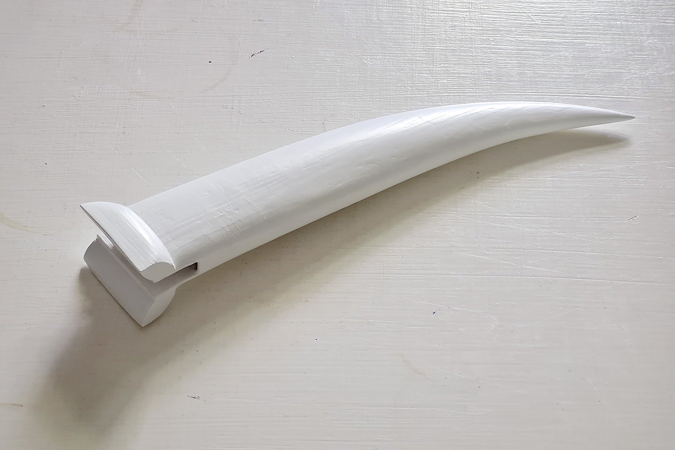 schede aculeus 6-2024 162357