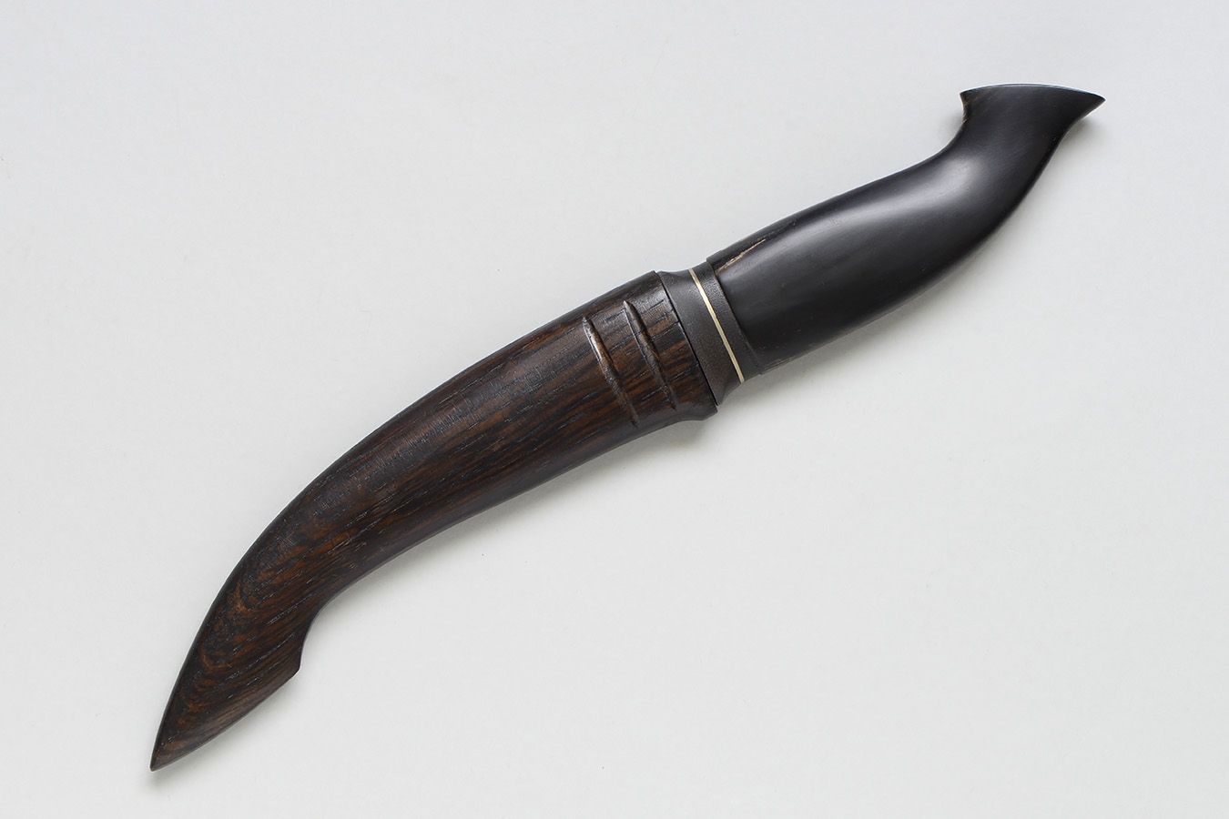 schede v2 zgm 28 11-2024 2494