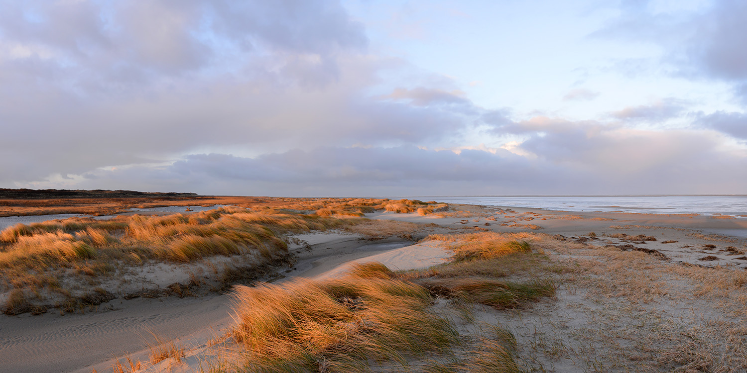 schiermonnikoog 2-2020 1179-81
