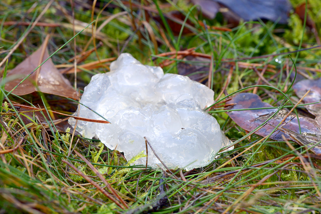 sterrenschot 11-2021 0695