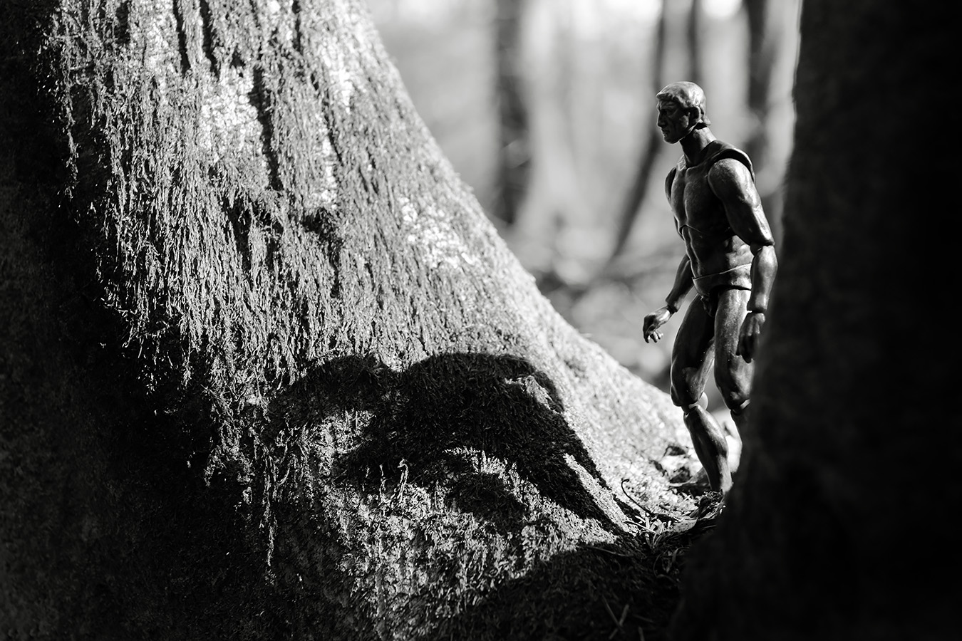 the thinking man casts his shadow 4-2023 7132