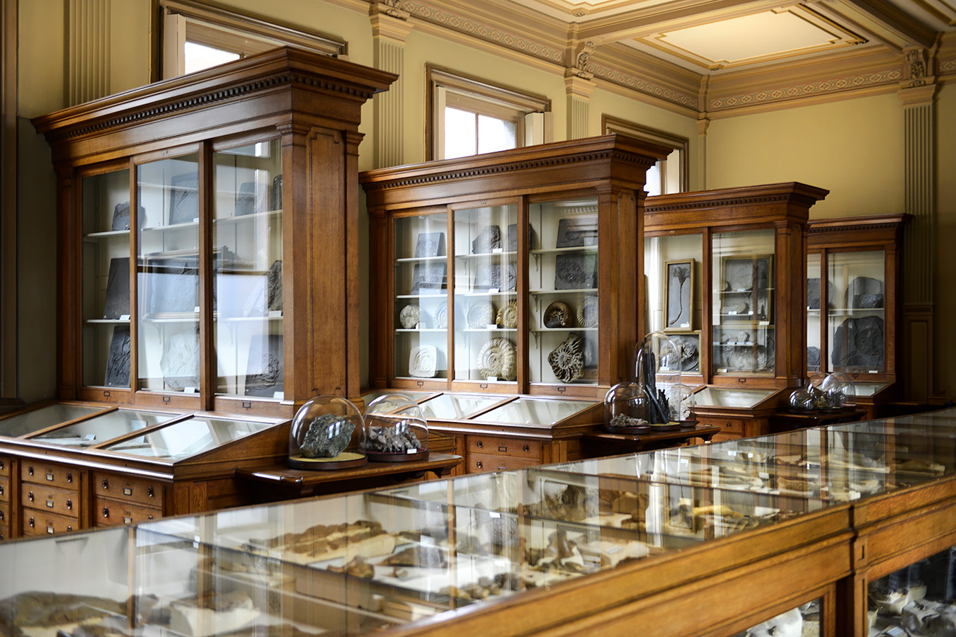 tylers museum 10-2023 9179