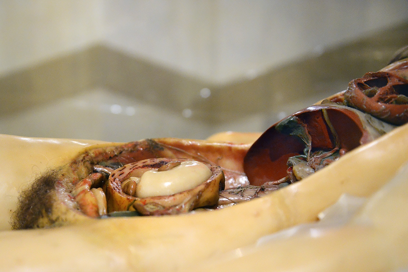 venerina museo di anatomia umana bologna 8-2022 4177