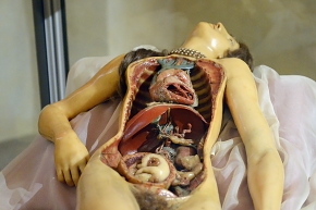 venerina museo di anatomia umana bologna 8-2022 4742