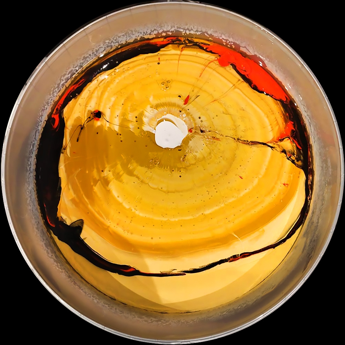 verfblik 03-2024 WA0001