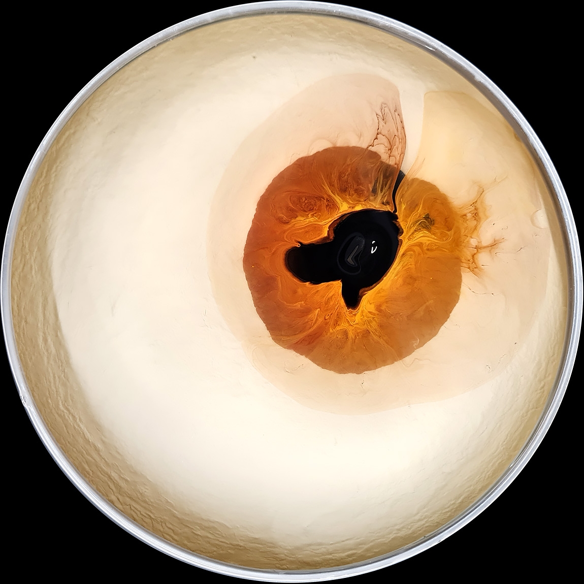 verfblik 7-2024 134123