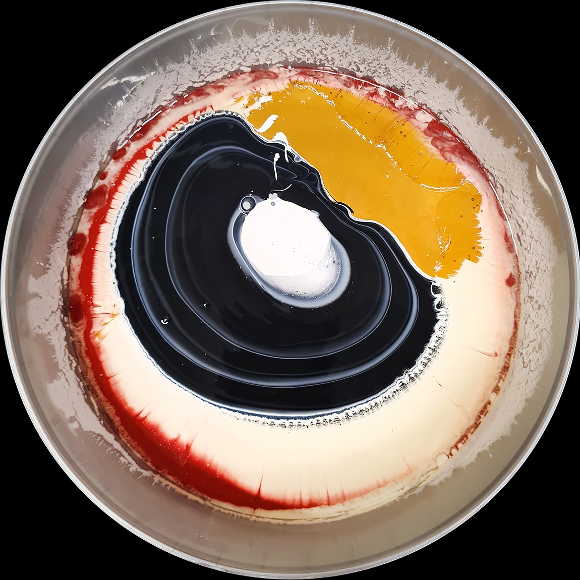 verfblik 8-2024 115901