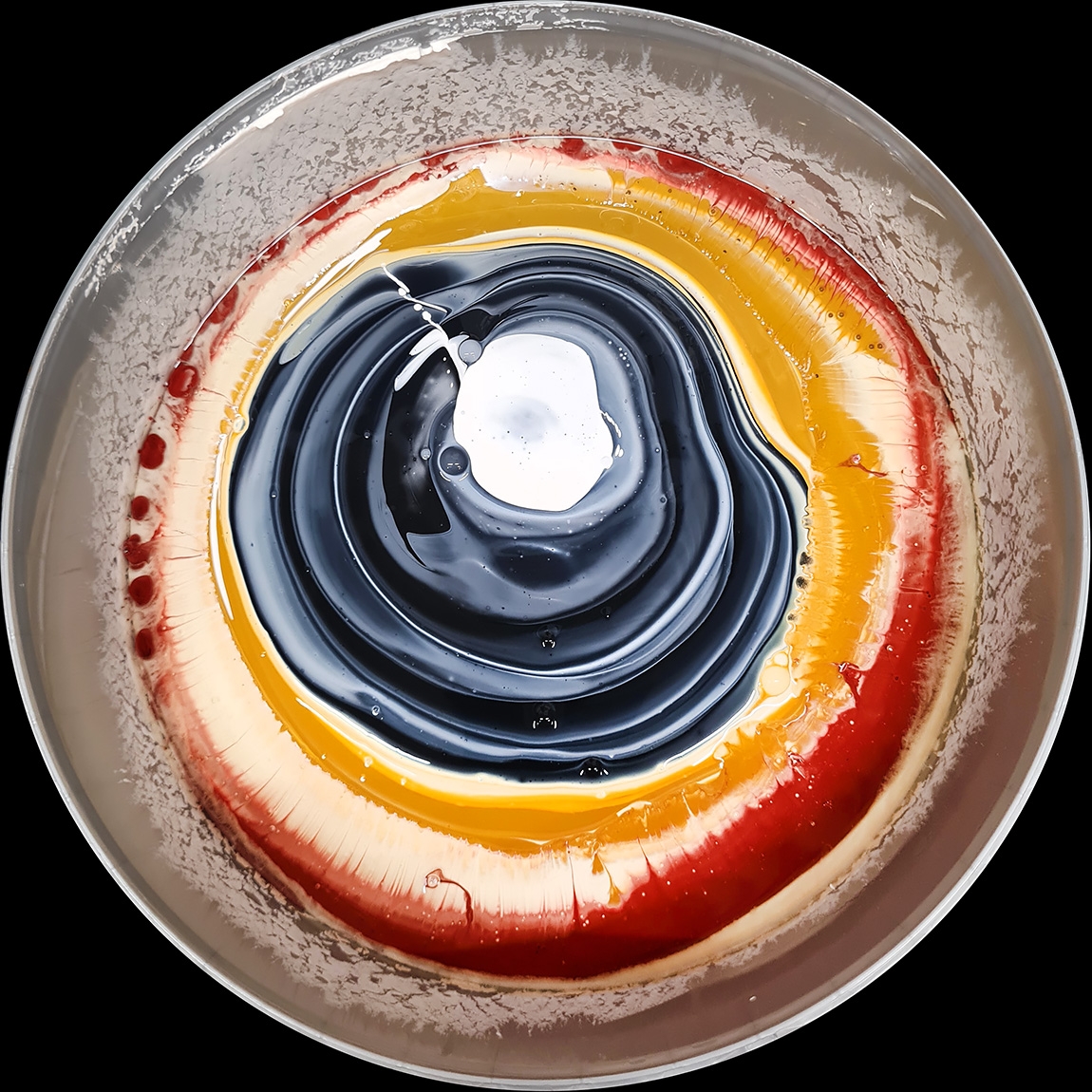 verfblik 8-2024 115908